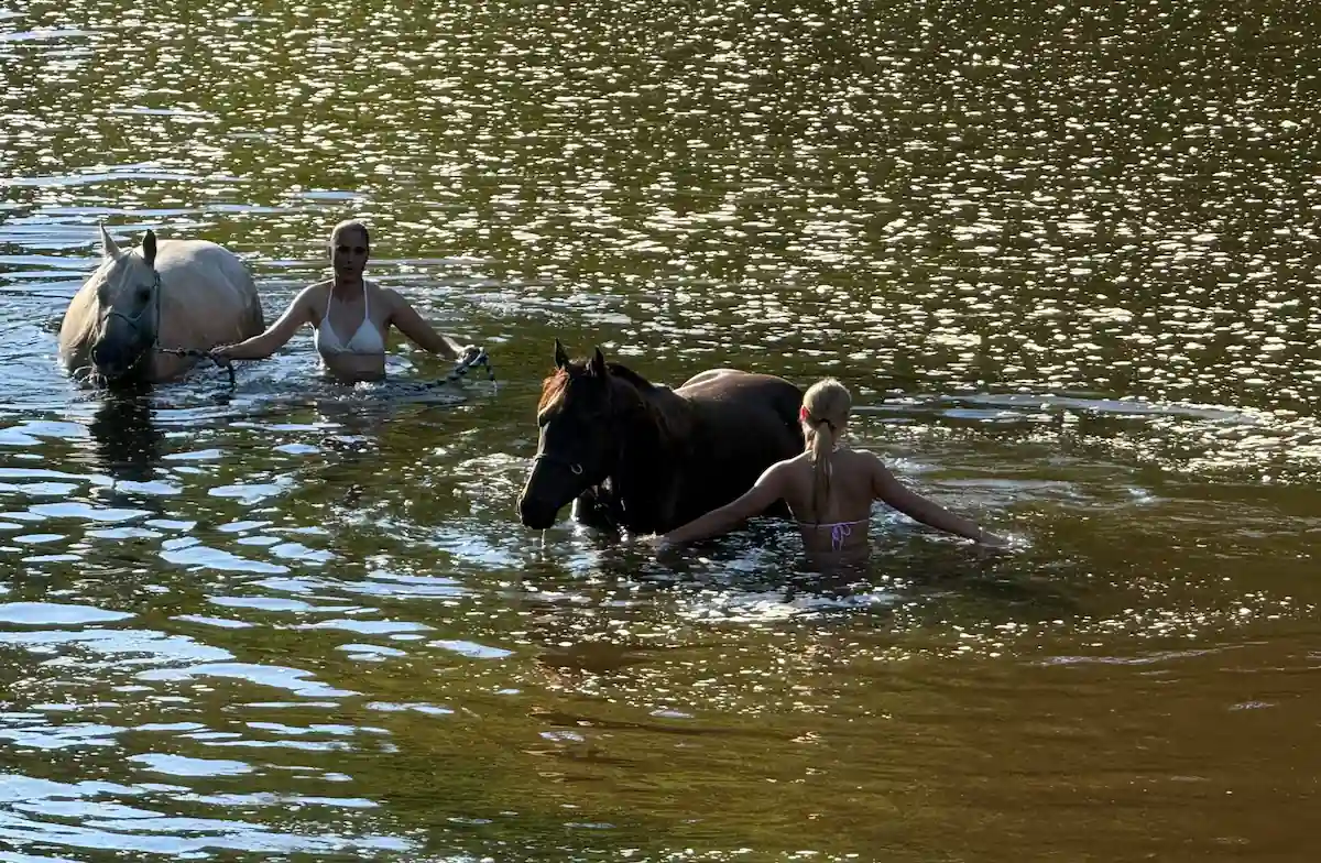 Koně koupající se se slečnami