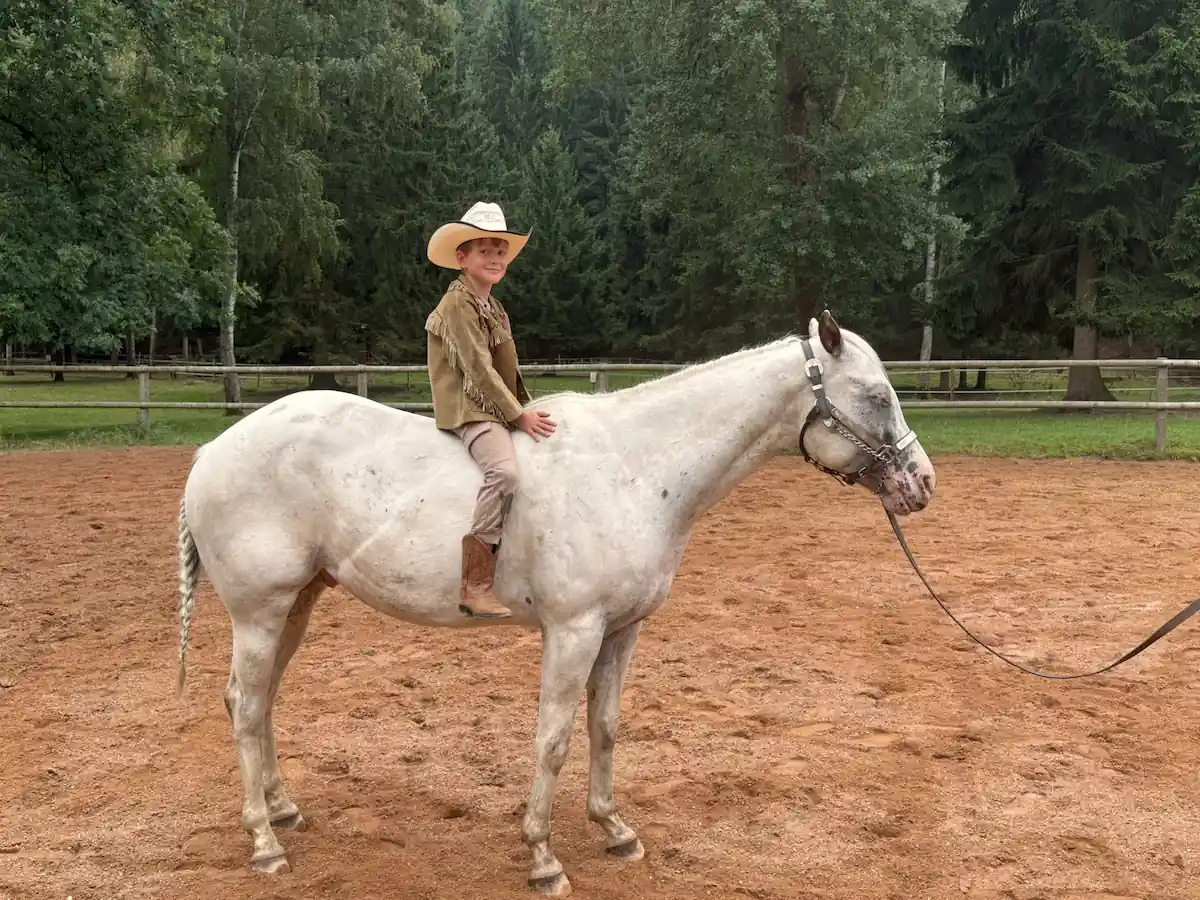 Chlapec sedící na hřbetu koně